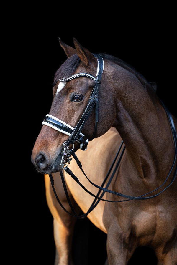 tess-products-double-bridle-hoofdstel-slim-black-white