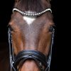 tess-products-bridle-hoofdstel-jumping-black-1