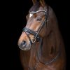 tess-products-bridle-hoofdstel-jumping-black-2