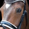 tess-products-bridle-hoofdstel-slim-black-white-1
