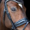 tess-products-bridle-hoofdstel-wide-black-black-1
