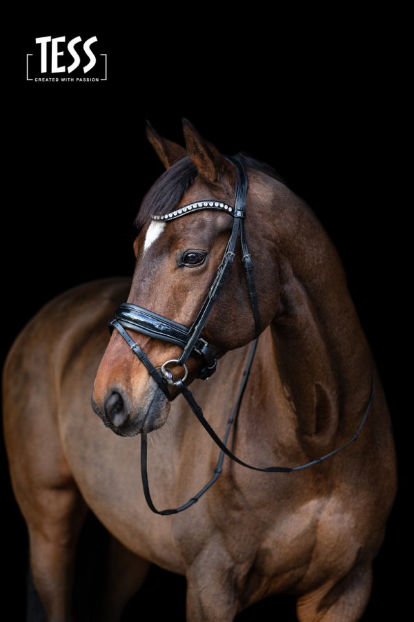 TESS Trens SLIM Bridle