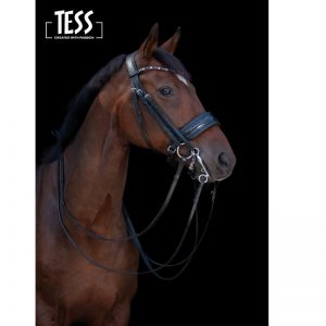 TESS Double Bridle WIDE Black/Black
