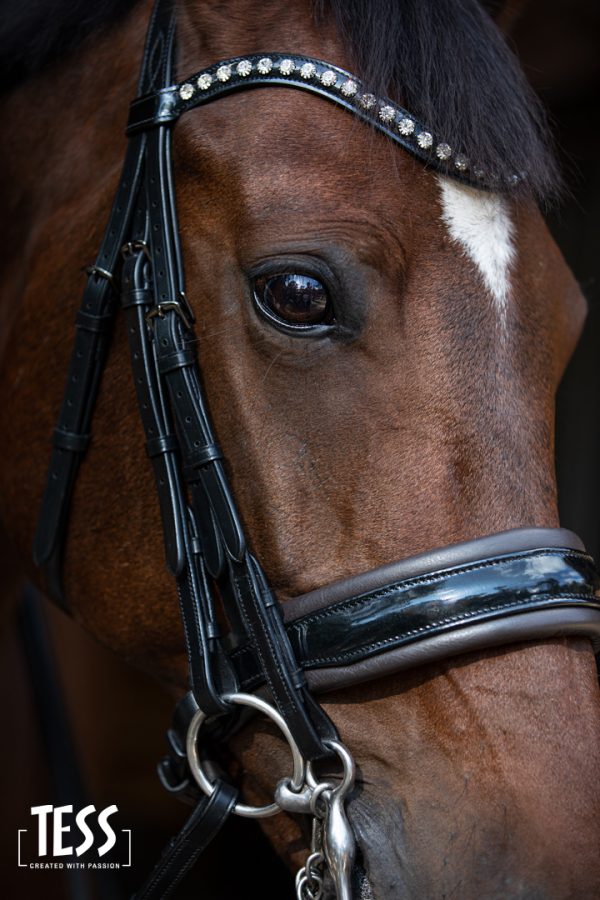TESS Slim Double Bridle Black/D.Brown