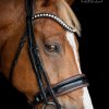 Stang & Trens Bridle Standaard Slim Black/A.Nut | TESS Products - Afbeelding 2