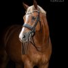 TESS Stang & Trens hoofdstel Black Australian Nut Slim