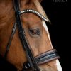 Stang & Trens Bridle Custom Wide Black/A.Nut | TESS Products - Afbeelding 2