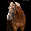 TESS Stang & Trens hoofdstel Black Australian Nut Wide