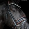 Trens Bridle Standaard Wide Black/A.Nut | TESS Products - Afbeelding 2