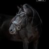 TESS Trenshoofdstel Black Australian Nut Wide
