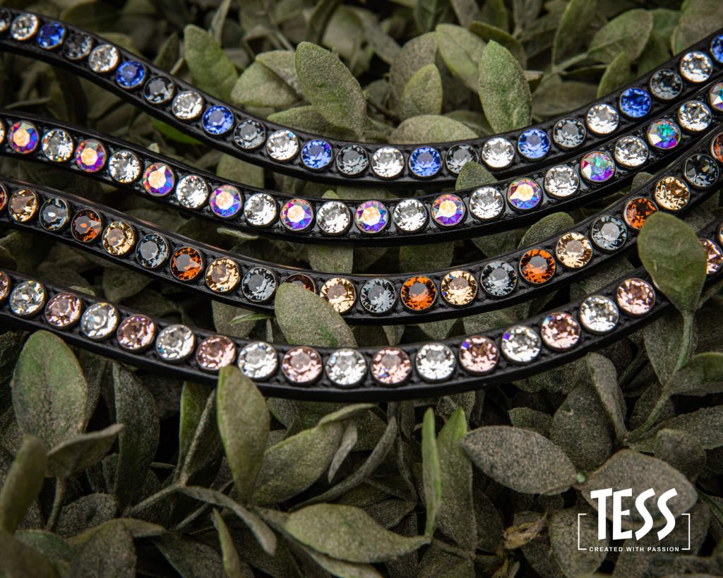 TESS-Browband-high-end-crystals-Special-Edition