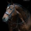 tess-stang-en-trens-slim-bridle-brown-patent