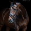 tess-trens-wide-bridle-brown-patent-1