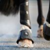 Springschoenen Leela Grey | HorseGuard - Image 2
