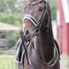 tess-bridle-stang-en-trens-custom-hoofdstel-wide-black-white-swarovski-frontriem