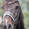 tess-bridle-stang-en-trens-custom-hoofdstel-wide-black-white-swarovski-frontriem-1