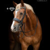 TESS-Stang-Trens-hoofdstel-custom-Black-Australian-Nut-Wide