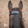 tess-products-kopstuk-recht-1