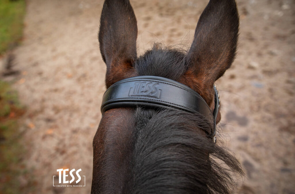 tess-products-kopstuk-deluxe-narrow-3