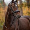 tess-products-trens-bridle-special-deluxe-bronze-1
