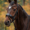tess-products-trens-bridle-special-deluxe-bronze