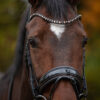 tess-products-trens-bridle-special-deluxe-bronze-2