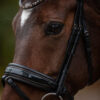 tess-products-trens-bridle-special-deluxe-bronze-3