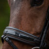 tess-products-trens-bridle-special-deluxe-bronze-4