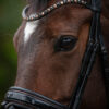 tess-products-trens-bridle-special-deluxe-bronze-5