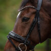 tess-products-trens-bridle-special-deluxe-bronze-6