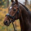 tess-products-trens-bridle-special-deluxe-gun-metal-1