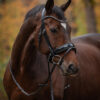 tess-products-trens-bridle-special-deluxe-gun-metal