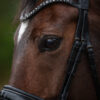 tess-products-trens-bridle-special-deluxe-gun-metal-2