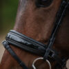 tess-products-trens-bridle-special-deluxe-gun-metal-3