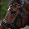 tess-products-trens-bridle-special-deluxe-gun-metal-4