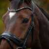 tess-products-trens-bridle-special-deluxe-gun-metal-5