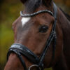 tess-products-trens-bridle-special-deluxe-gun-metal-6