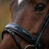 tess-products-trens-bridle-special-deluxe-gun-metal-7