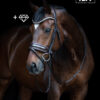 tess-trens-wide-bridle-custom-brown-patent-1