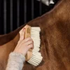 body-brush-middle-soft-kentucky-1