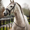 Trens Bridle Special Deluxe Pink | TESS Products - Afbeelding 2