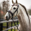 Trens Bridle Special Deluxe Pink | TESS Products - Afbeelding 3