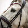 Trens Bridle Special Deluxe Pink | TESS Products