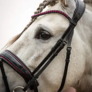 VERKOCHT Trens Bridle Special Deluxe Pink | TESS Products