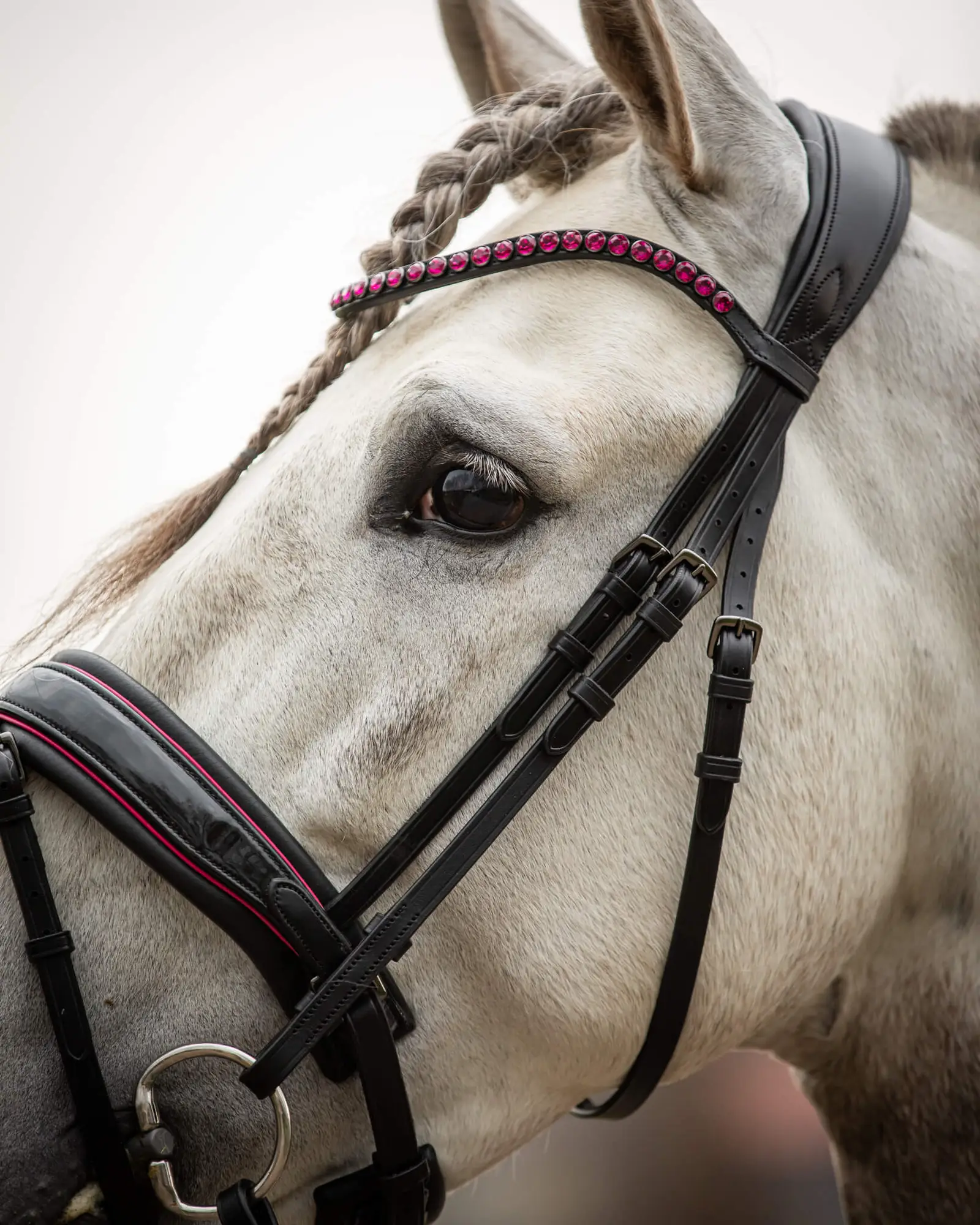 VERKOCHT Trens Bridle Special Deluxe Pink | TESS Products
