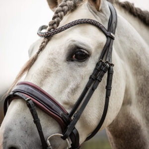 Trens Bridle Special Deluxe Bordeaux | TESS Products