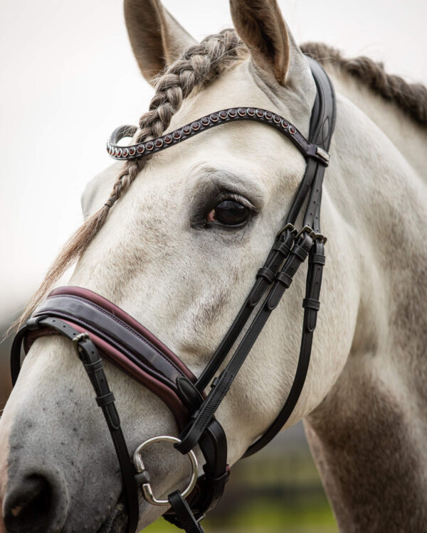 Trens Bridle Special Deluxe Bordeaux | TESS Products