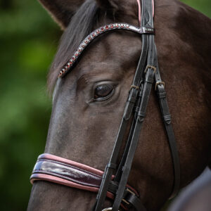 Stang & Trens Bridle Special Deluxe Bordeaux | TESS Products