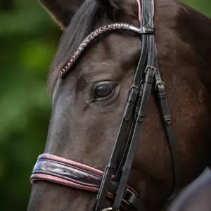 Stang & Trens Bridle Special Deluxe Bordeaux | TESS Products
