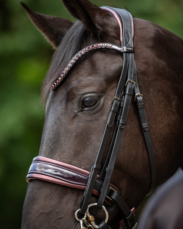 Stang & Trens Bridle Special Deluxe Bordeaux | TESS Products